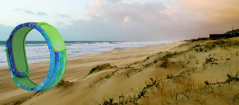 Discovering the Top Beaches of the Outer Banks – PARA'KITO