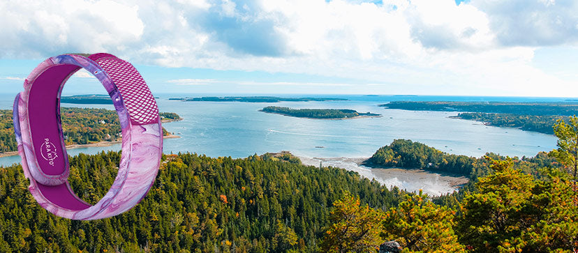 The Best Trails in Acadia National Park