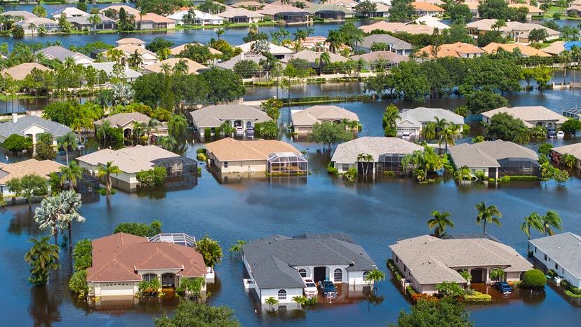 Why Insects Surge After Hurricanes and Floods: The Case of Hurricane Milton and Helene