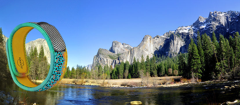 Exploring the Majestic Beauty of Yosemite National Park