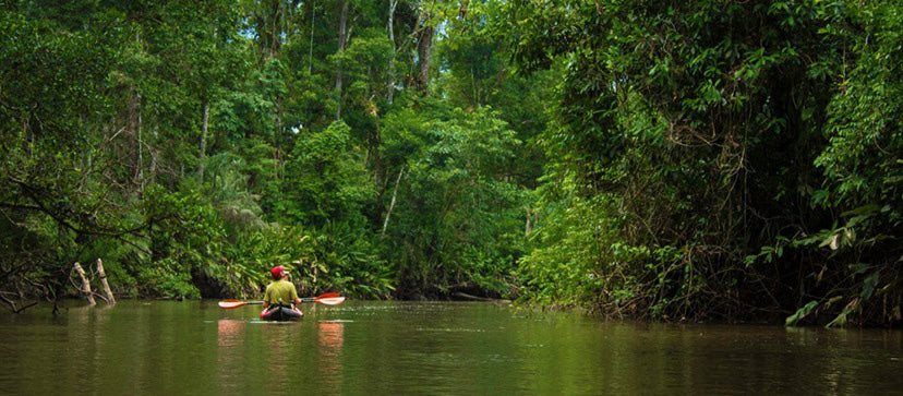 Kayak In The Amazon Rainforest - Brazil